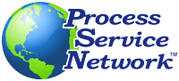 Process Net1 Logo